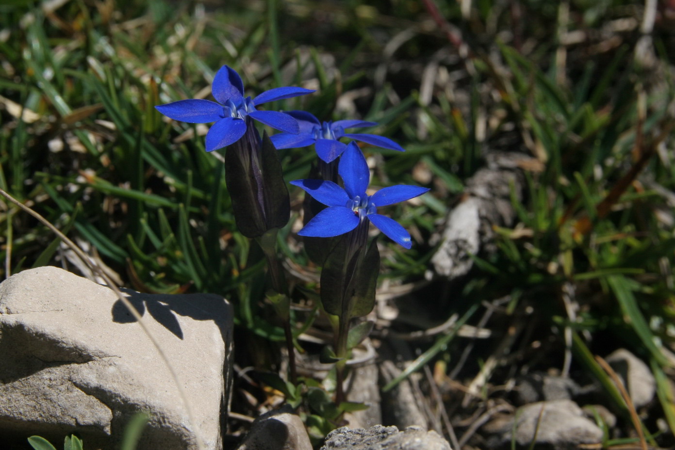 3 giorni tra le dolomiti friulane